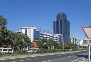 西安扁圆枣落叶果树苗